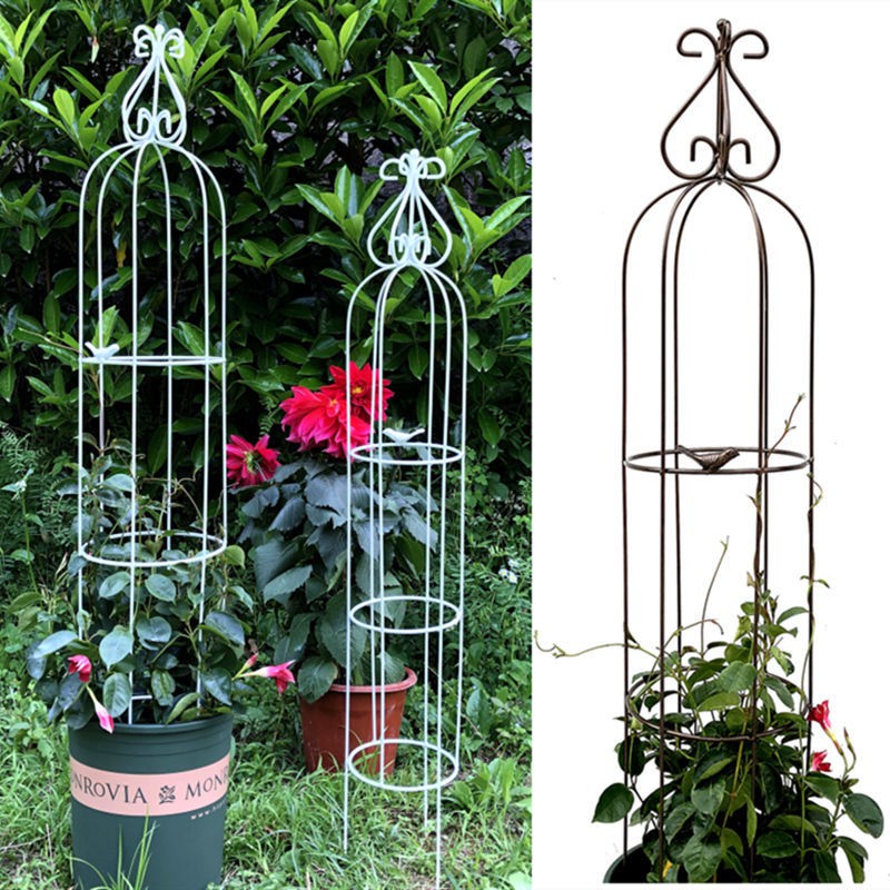 ✼✥✲Sắt rèn màu xanh lá cây hoa hồng kệ clematis khung dây leo giàn cột vương miện lồng chim