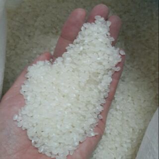 Gạo séng cù đặc sản tây bắc( 2 kg ăn thử)