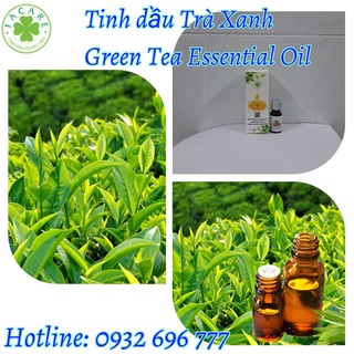 Tinh dầu Trà Xanh Green Tea essential oil giúp chăm sóc da hiệu quả - 10ml