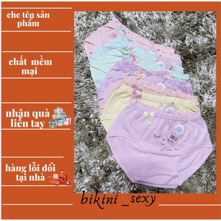 Combo 5 quần chíp tam giác cho bé gái