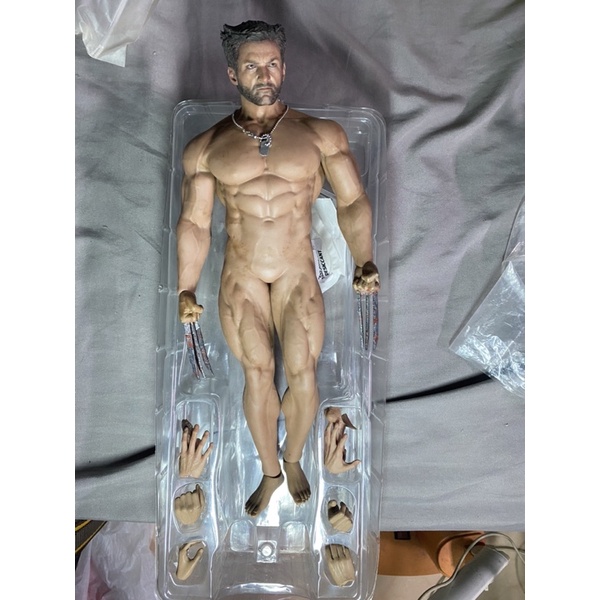 Búp bê người sói Phicen đầu hottoys