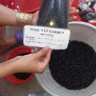 1000 HẠT MAI PHA LẪN GIẢO THỦ ĐỨC..ĐẠI LỘC.