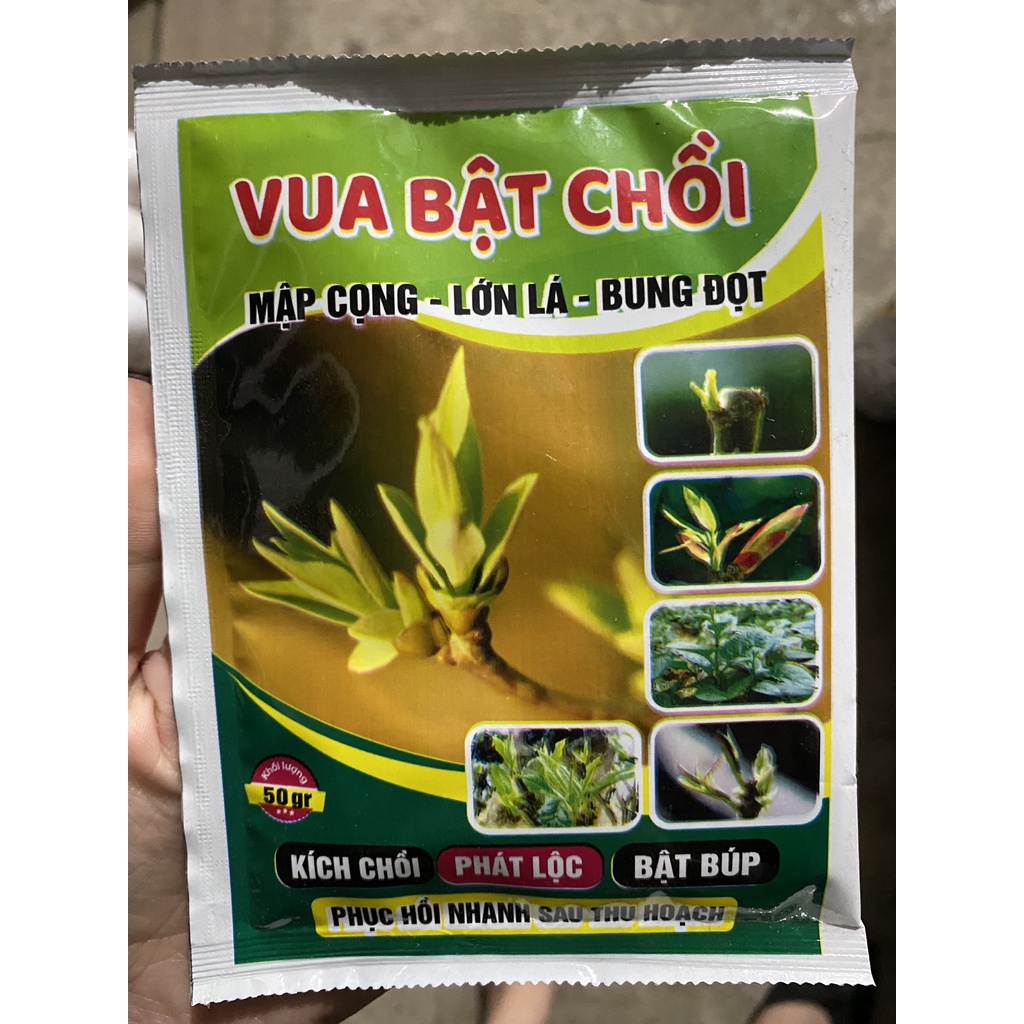 VUA BẬT CHỒI 50gr - Phân bón lá hỗn hợp nguyên liệu nhập khẩu