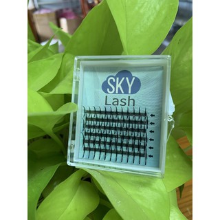 Trụ katun 6 line