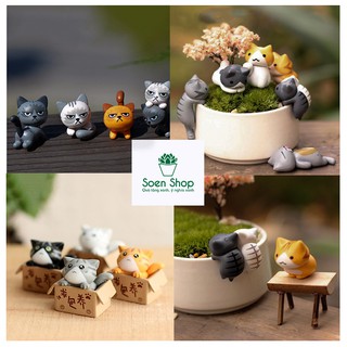 [09] Phụ kiện tiểu cảnh mèo - Phụ kiện trang trí tiểu cảnh sen đá xương rồng