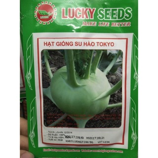 Hạt giống su hào