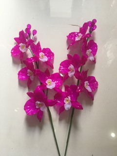 Combo 2 Cành hoa lan hồ điệp