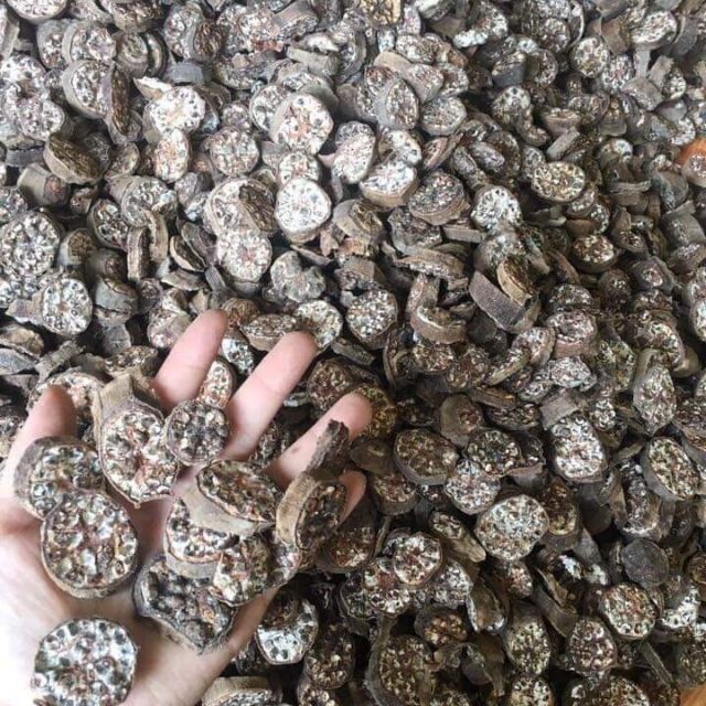Chuối hột rừng 1kg