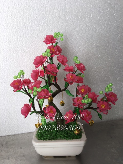 Cánh hoa mai, hoa đào