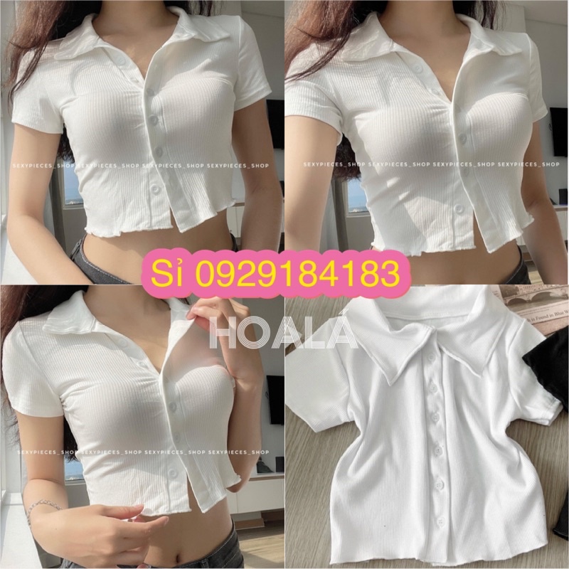 Áo Thun Polo Cổ Trụ Đơn Giản