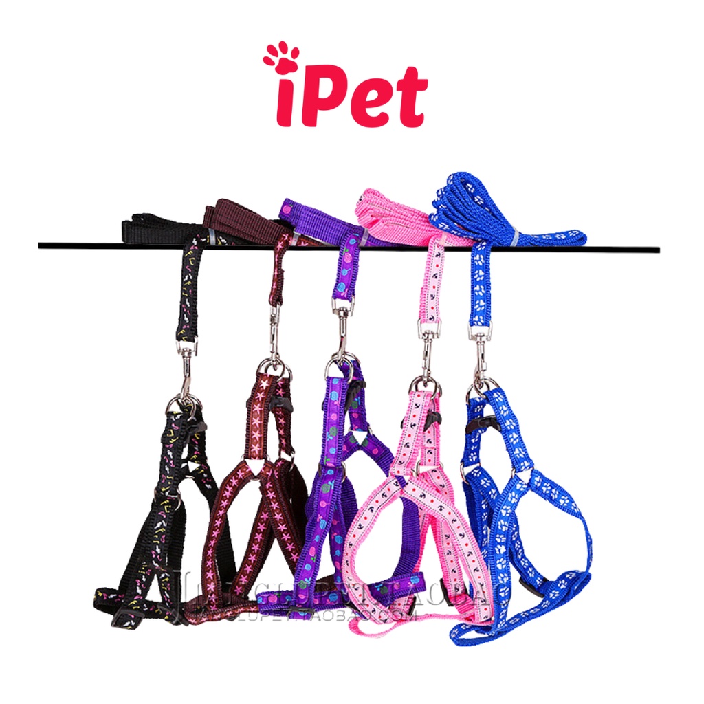 Dây Dắt Kèm Đai Người Cho Chó Mèo Dưới 5kg - iPet Shop