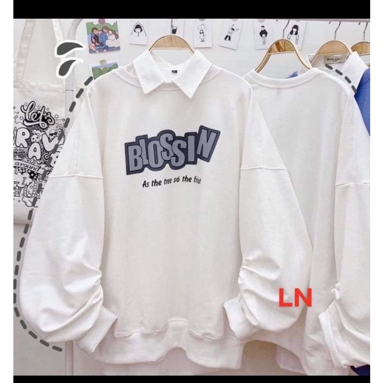 Áo nỉ bo blo LN11