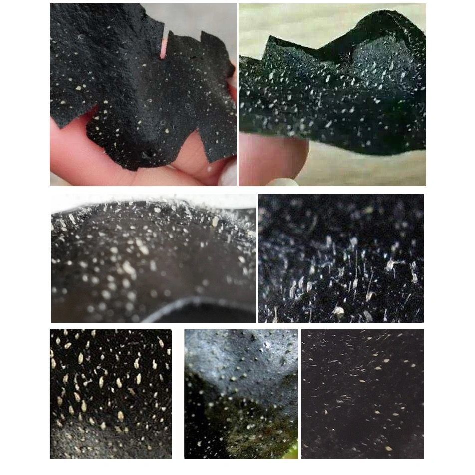 Mặt Nạ Lột Mụn Đầu Đen Vùng Mũi Hiệu REAL STYLE