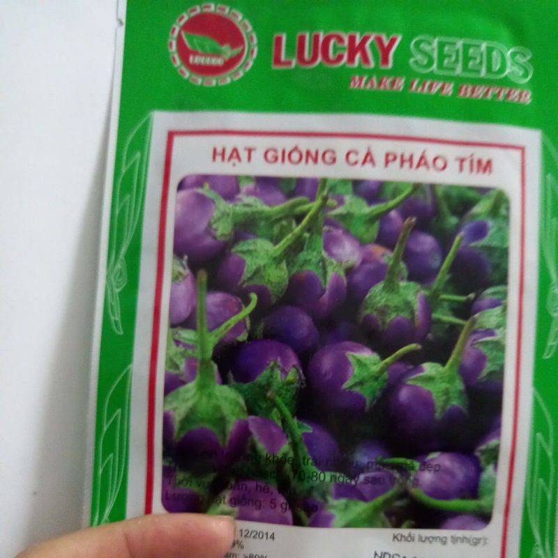 Cà pháo tím ( 2 gr)