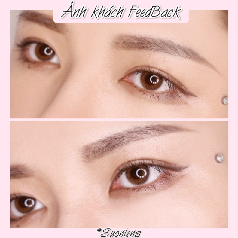 [Video thật] Lens 1 ngày Ann365 RICH NATURAL BROWN áp tròng 14,2mm, màu nâu trong tự nhiên Hàn Quốc, siêu êm đeo cả ngày