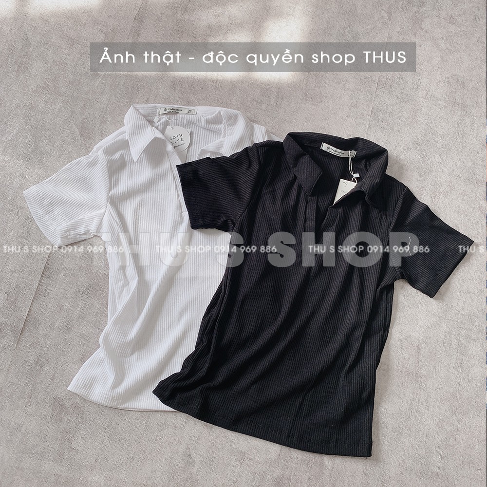 Áo thun nữ ngắn tay có cổ THUS, Áo phông Polo nữ trơn cao cấp nhiều màu A1H01