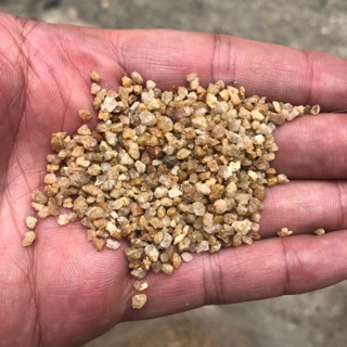 500g Sỏi nắng vàng cho bể cá