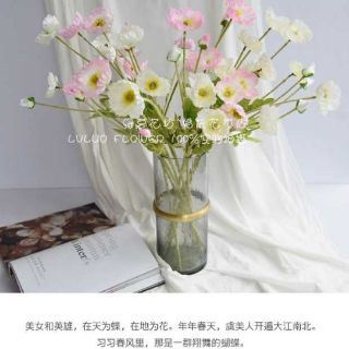 Hoa lụa - hoa anh túc (hoa poppy)