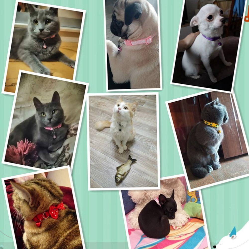 Vòng Cổ Polyester Có Khóa In Họa Tiết Hoạt Hình Có Thể Điều Chỉnh Cho Thú Cưng