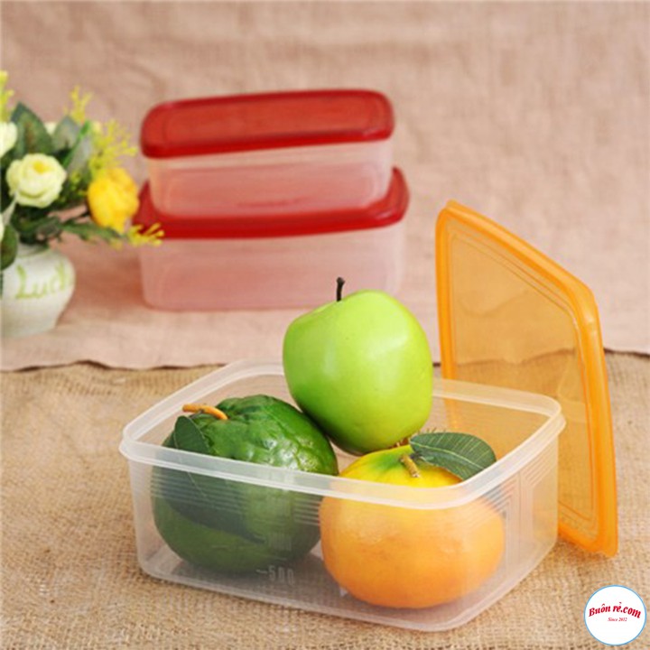 Bộ 3 Hộp Trữ Đông - Hộp Nhựa Đựng Thực Phẩm SONG LONG Nắp Nhiều Màu Sắc ( MS:2221) - br00318