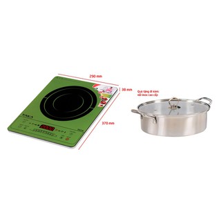 Bếp từ đơn cao cấp taka tki1a