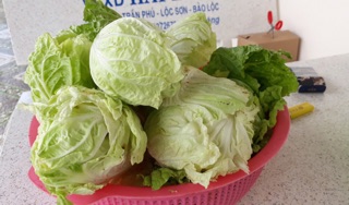 500gr Kim chi cải thảo nhà làm