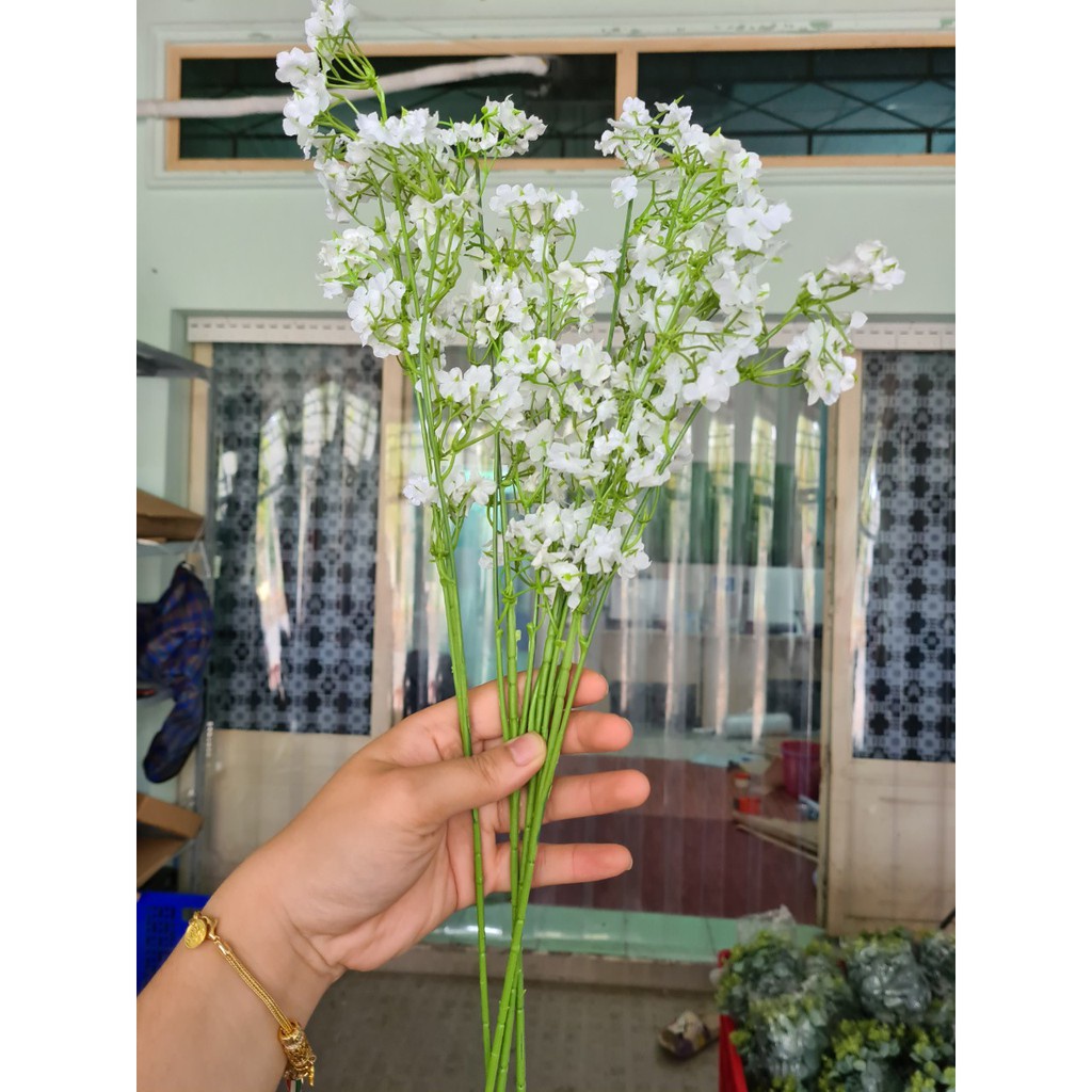 Bộ sưu tập lá - Chụp ảnh decor CHÙM HOA BABY TRANG TRÍ