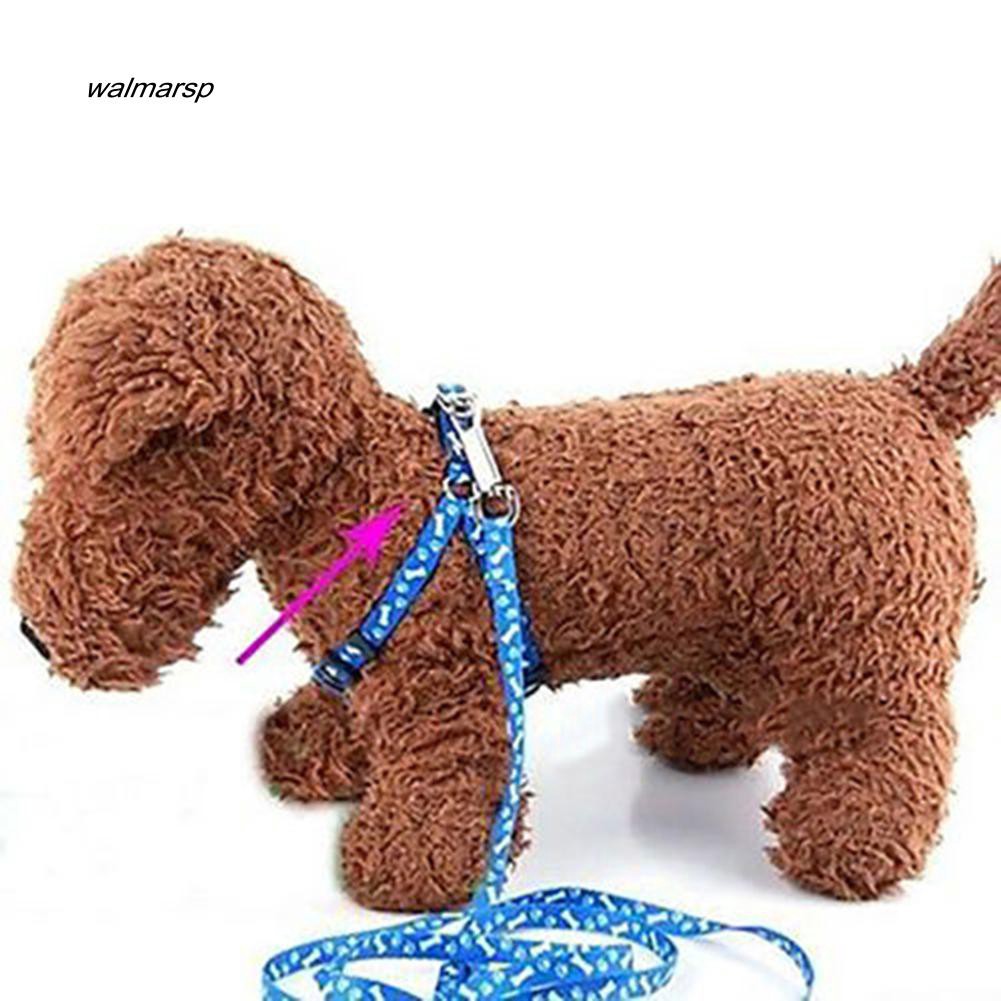 Dây dắt cún cưng đi dạo in họa tiết cục xương điều chỉnh được
