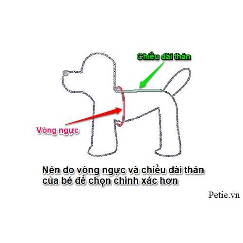 Áo mùa hè cho chó mèo style con nhà giàu siêu đẹp