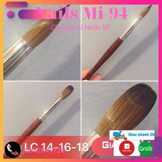 Cọ đắp bột⚡️siêu xịn đắp bột cực thích,đắp fom móng số 12-14-16-18