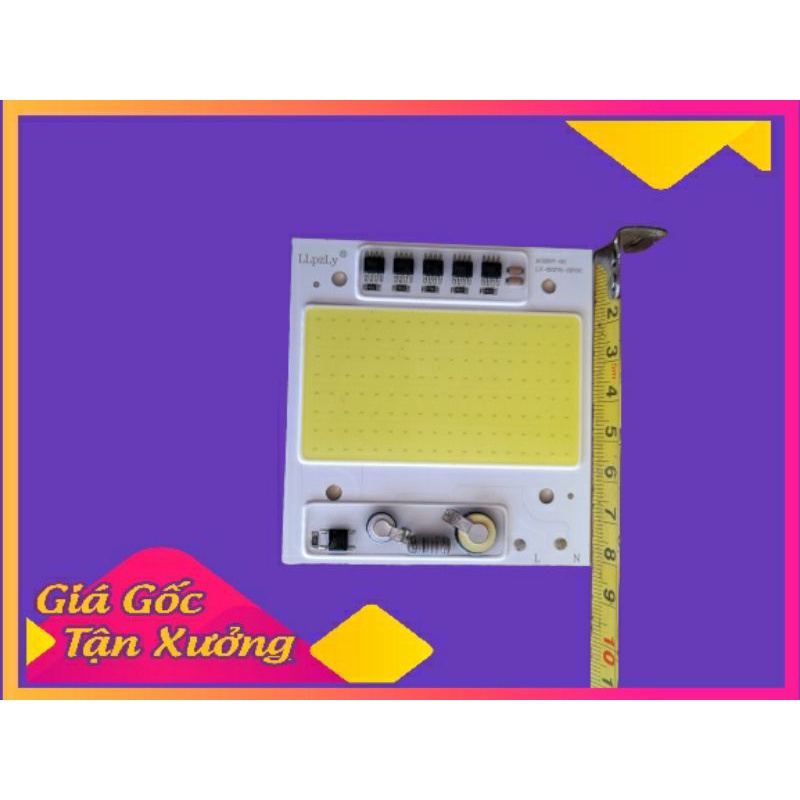 Chíp led 50w - 220v 8×8 cm -siêu sáng cob mua 10 tặng 1