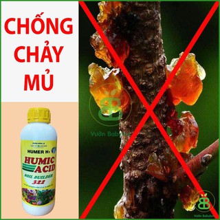 Phân Bón Lá Sinh Học Humic 1Lít