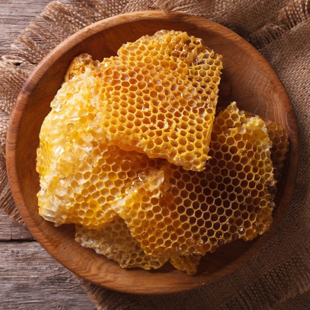 Mật ong Đăk Lăk nguyên chất hoa cà phê