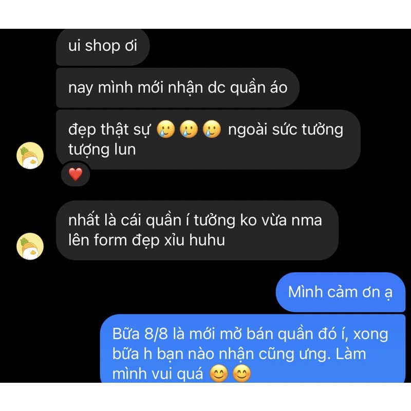 Quần suông nữ dài xếp ly cao cấp Slya