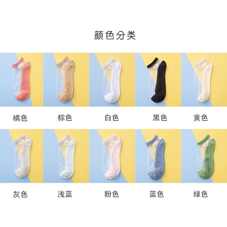 10 đôi Tất Lưới Xuyên Thấu Thiết Kế Hình Hoa Cúc Cho Nữ