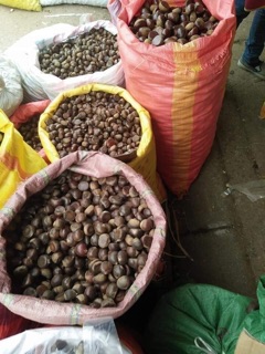 1kg hạt dẻ tươi
