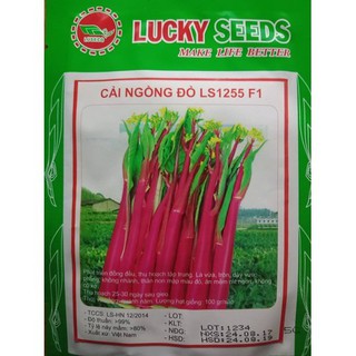 Hạt giống rau cải ngồng đỏ 5gr