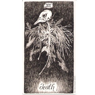 Wild Unknown Tarot (Mystic House Tarot Shop) - Bài Gốc Authentic Chính Hãng 100%