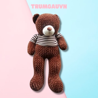 Gấu Bông Teddy 1m8 To, Thú Nhồi Bông Cute Khổng Lồ Giá Siêu Rẻ Chiều Cao Thật