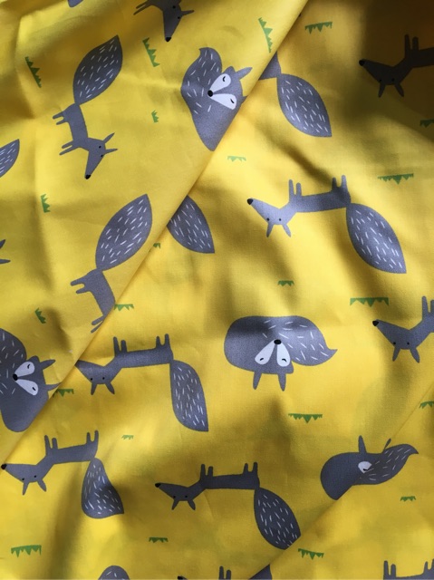 1 mét vải thô lụa