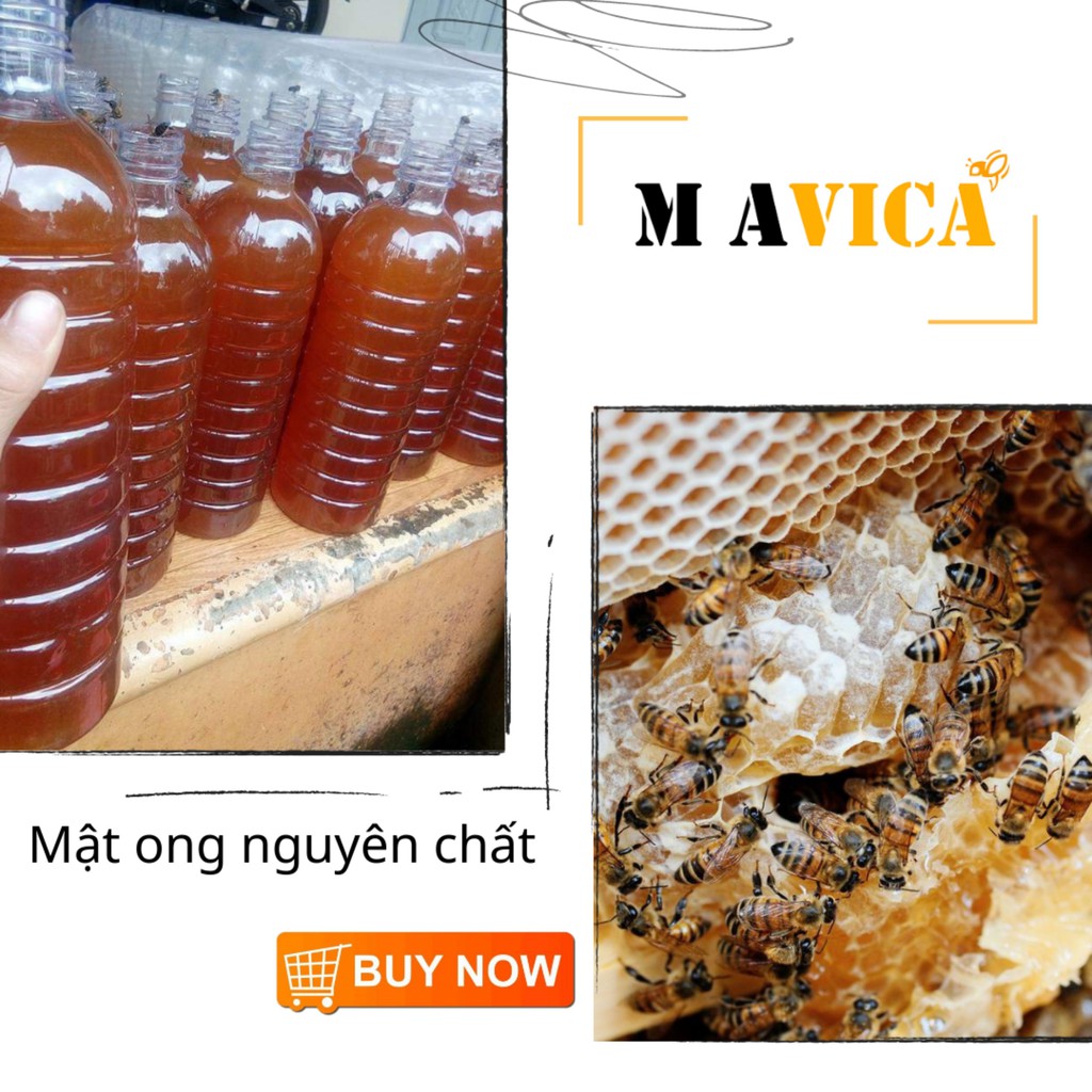 3 lít mật ong nguyên chất 100% - Cam kết mật ong nguyên chất - Hoàn tiền nếu không hài long - Mavica
