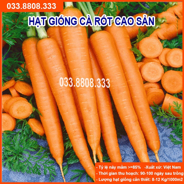 Hạt Giống Củ Cà Rốt - Củ To Dài Đặc Ruột