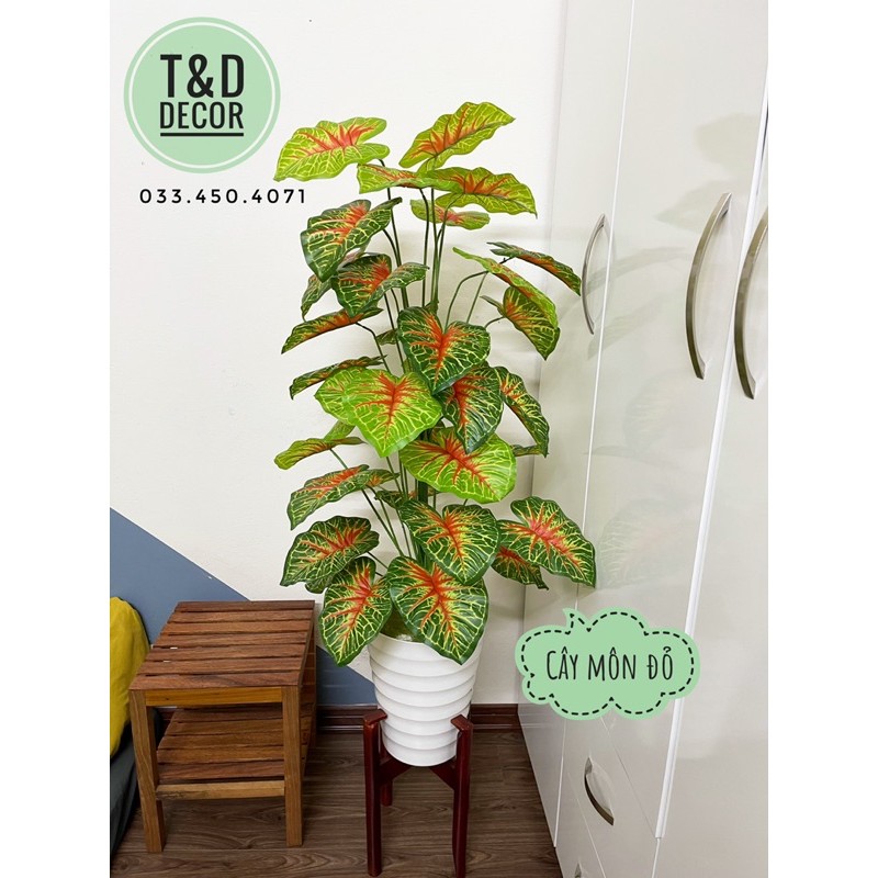 CÂY MÔN ĐỎ 1M2- CÂY GIẢ DECOR