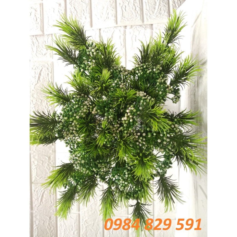 Cành tùng điểm có hoa trang trí decor