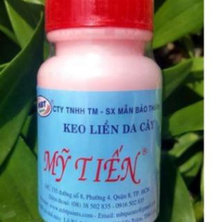 Keo liền sẹo da cây