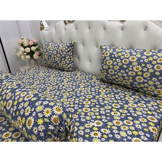 Drap thun hàn mát lạnh- Drap giường