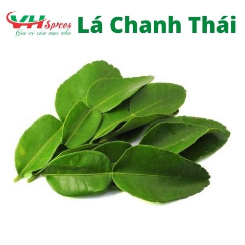 Lá Chanh Thái - Lá Chúc Tươi Giá Sỉ Việt Hiệp 1kg - Không Ship đi tỉnh xa