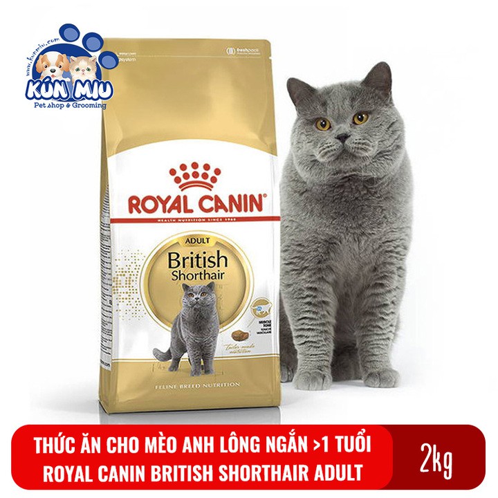 Thức ăn cho mèo anh lông ngắn trưởng thành Royal Canin British Shorthair Adult túi 2kg