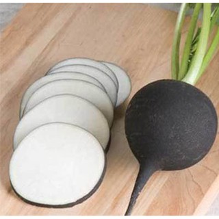 [GIÁ GỐC] Hạt giống Củ cải Đen - 10 hạt