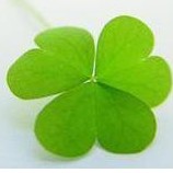 Lệ Hằng, Cửa hàng trực tuyến | BigBuy360 - bigbuy360.vn